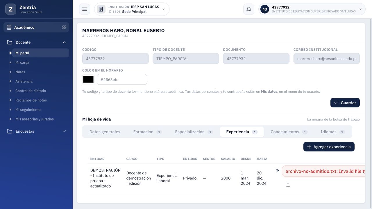 Selector de constancia de Experiencia: archivo TXT rechazado por formato; la constancia anterior se conserva.