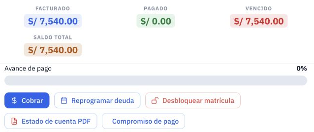 Resumen financiero y acciones de la ficha; identificación omitida.